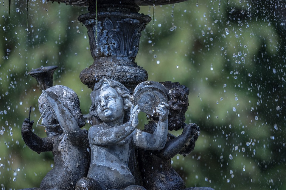 How to Effectively Save Water in Your Garden