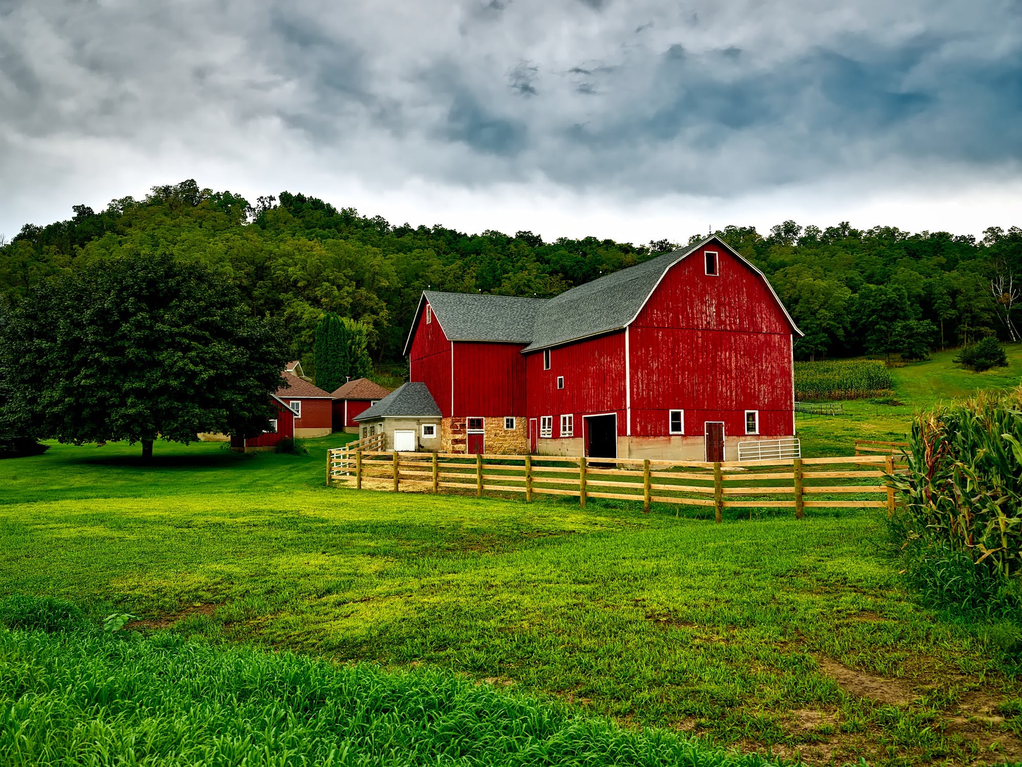 Rural farmhouse