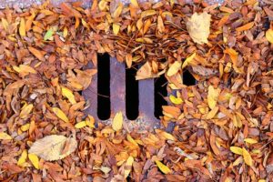 Outside Drain covered in leaves