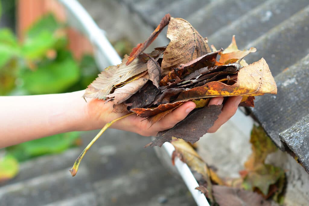 Gutter Maintenance A Man Is Removing Leaves from a Blocked Rain Gutter