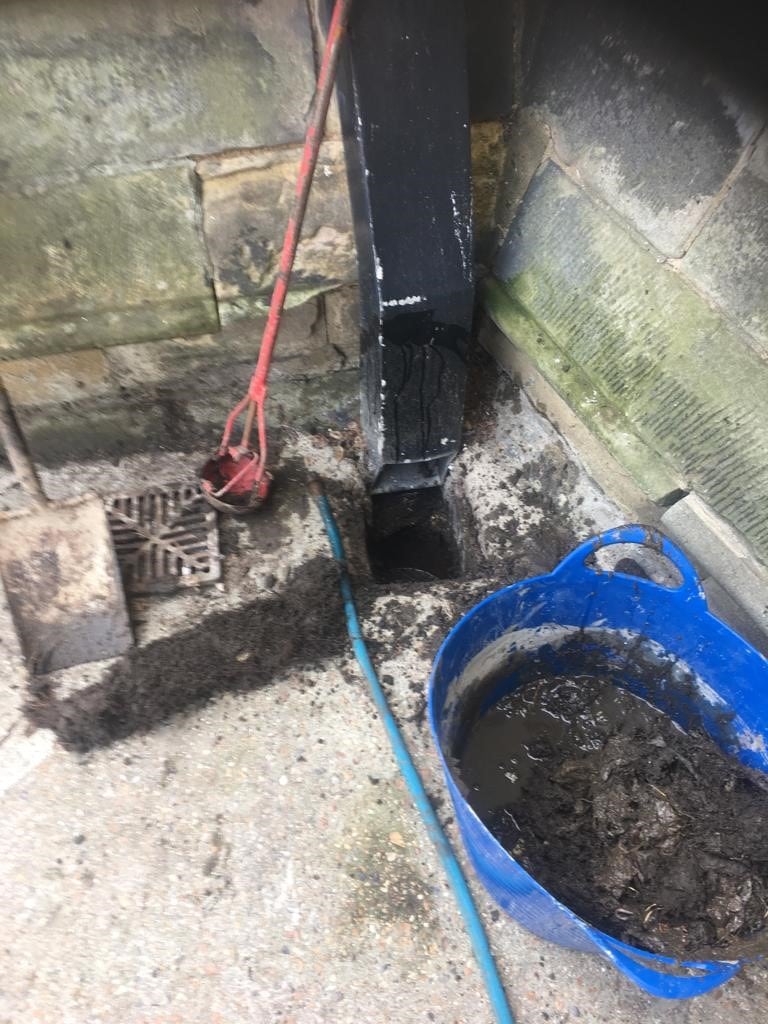 Blocked Gully Caused By Tree Root How We Solved The Problem