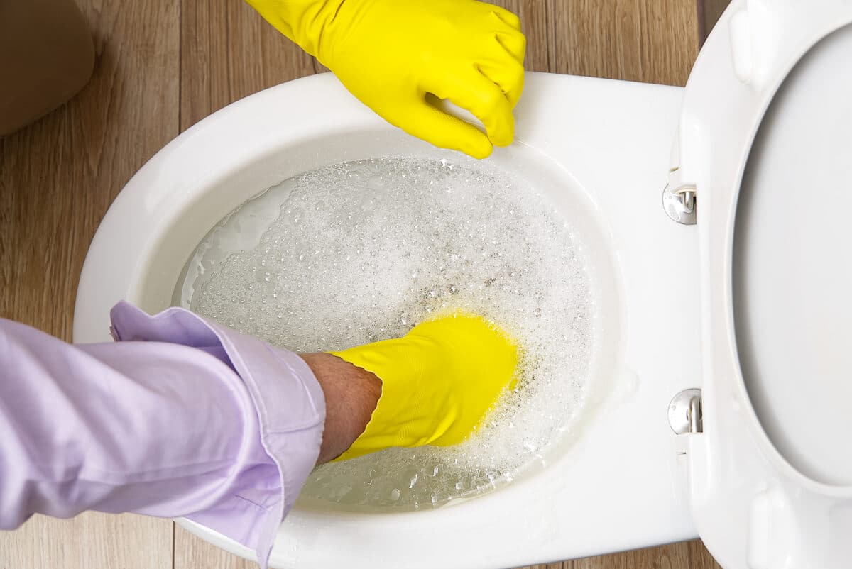 Slow Draining Toilet Causes ⏐ Easy DIY Fixes from Coastal Drains