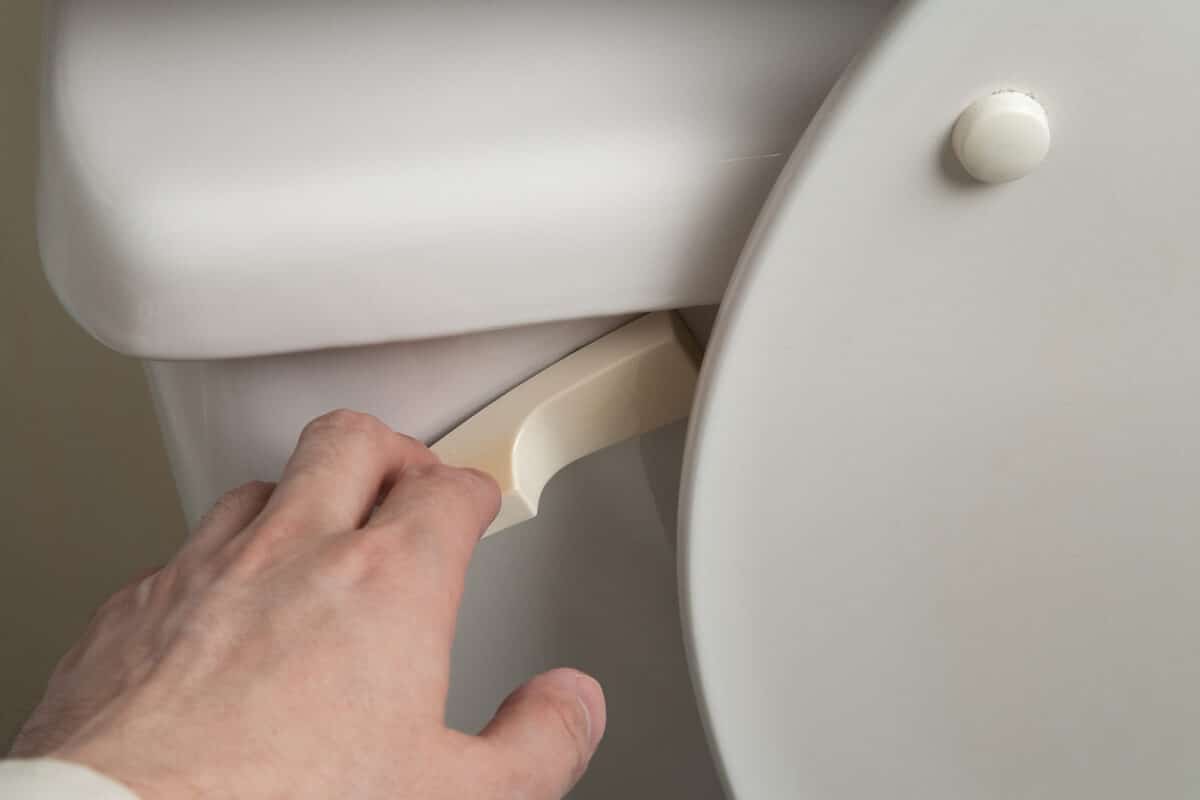 Slow Draining Toilet Causes ⏐ Easy DIY Fixes from Coastal Drains