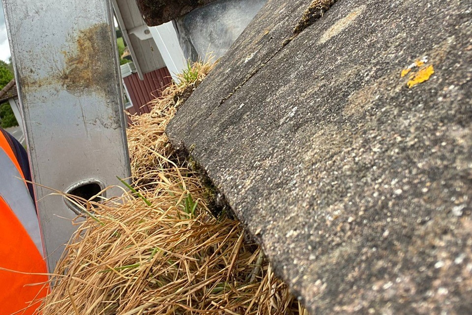 Tenant's Responsibility to Clean Gutters