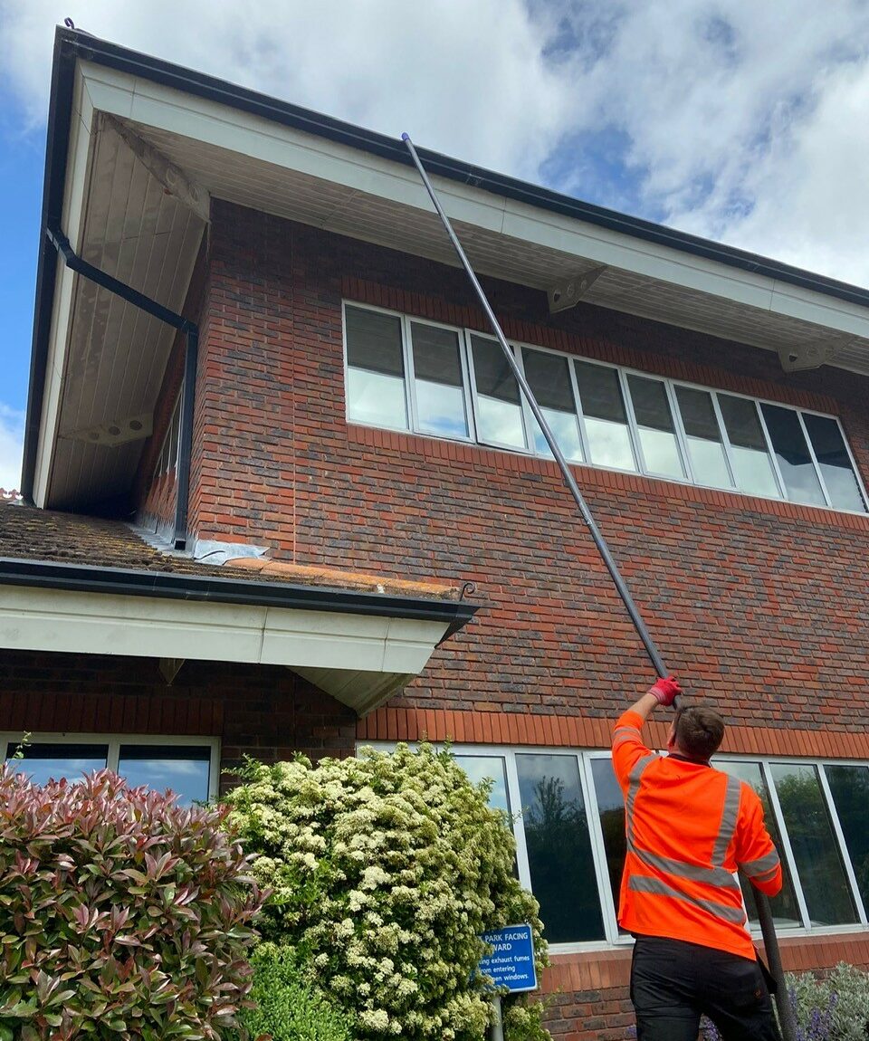 Gutter Cleaning