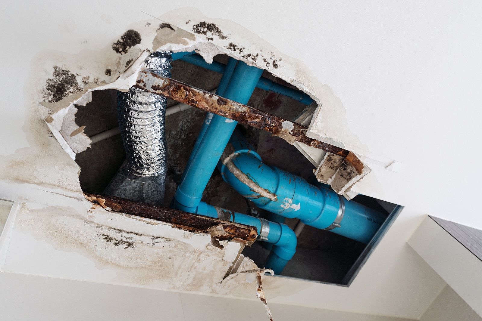 How to Make a Successful Water Leak Insurance Claim in the UK Coastal