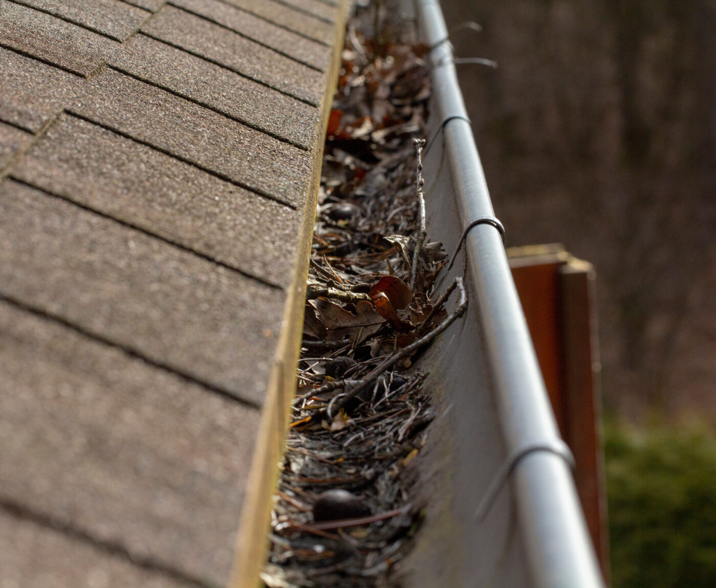 Gutter cleaning
