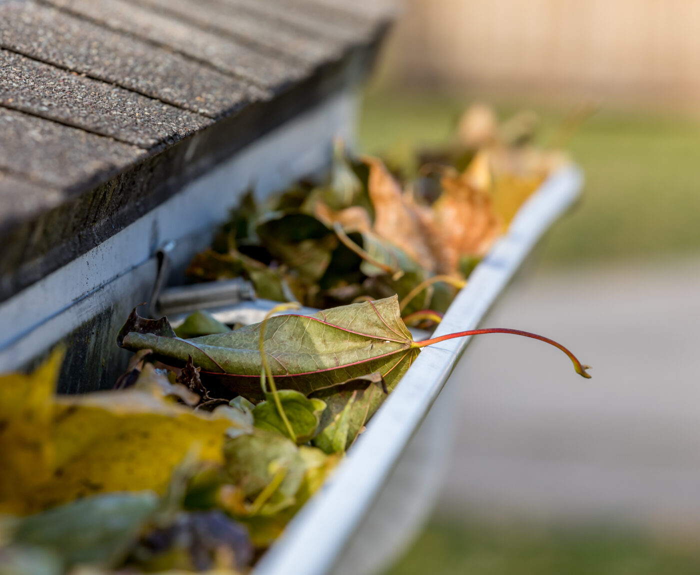 Rain gutter cleaning