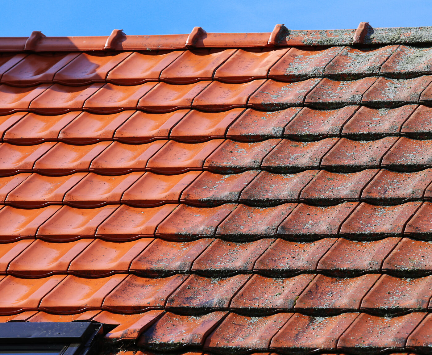 Roof cleaning