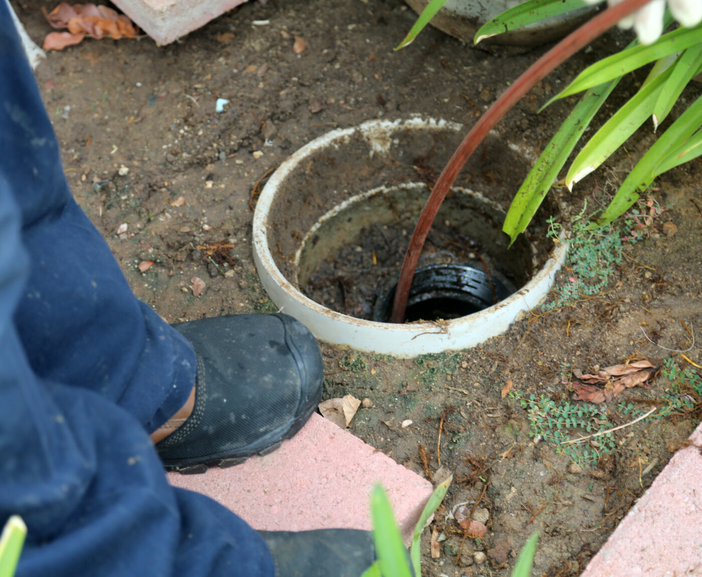 Sewer cleaning