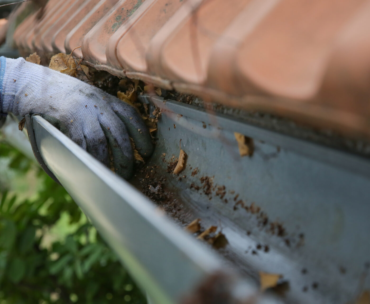 Gutter cleaning