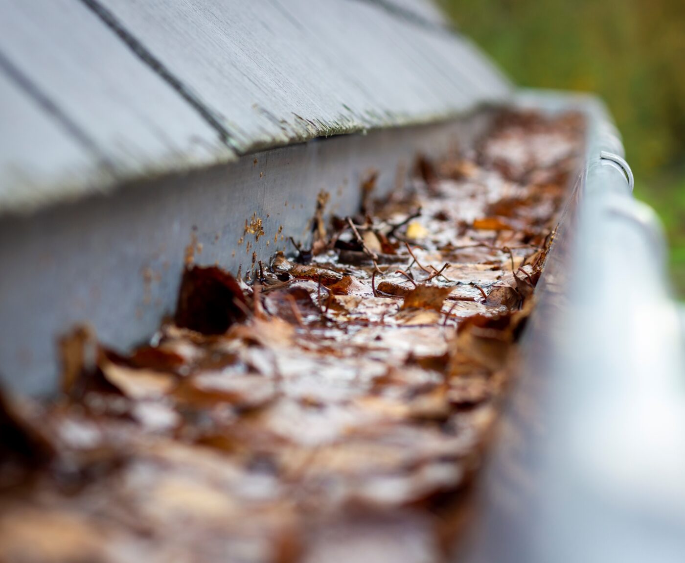 Clogged gutter
